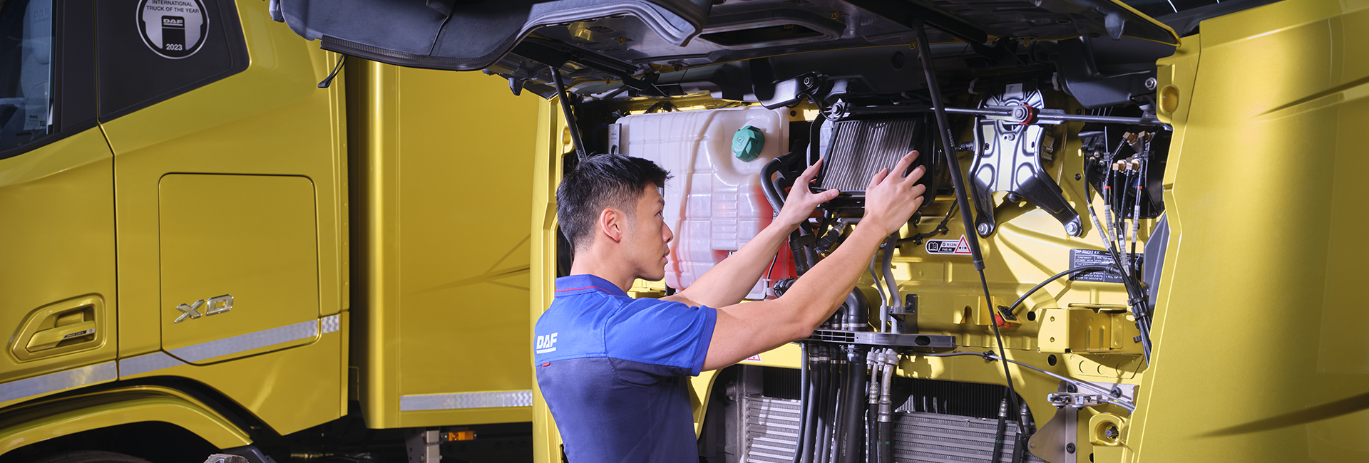 DAF XD range vocational trucks